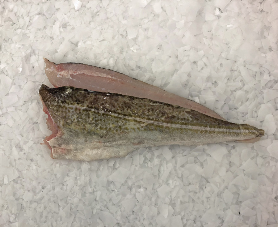 Kabeljauw filet met vel